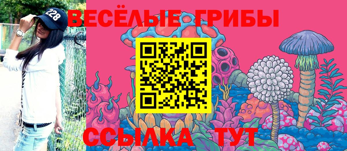 Псилоцибиновые грибы Psilocybe Каменск-Шахтинский